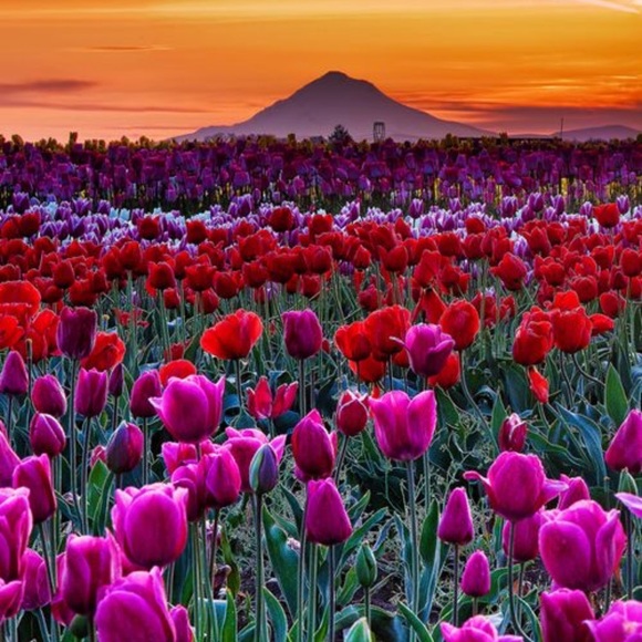 Meet your Posher, Brenda - Picture 12 of 13